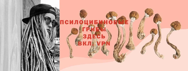 сатива Волосово