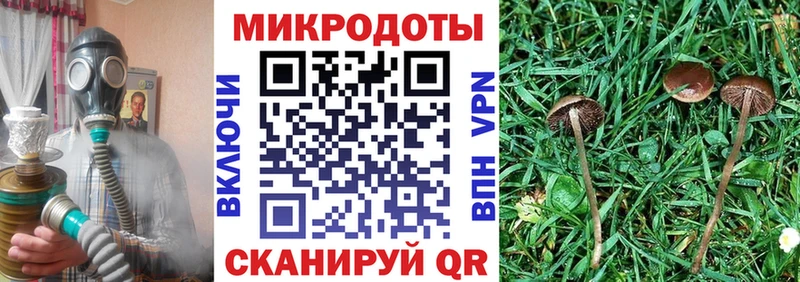 Галлюциногенные грибы мицелий Саратов